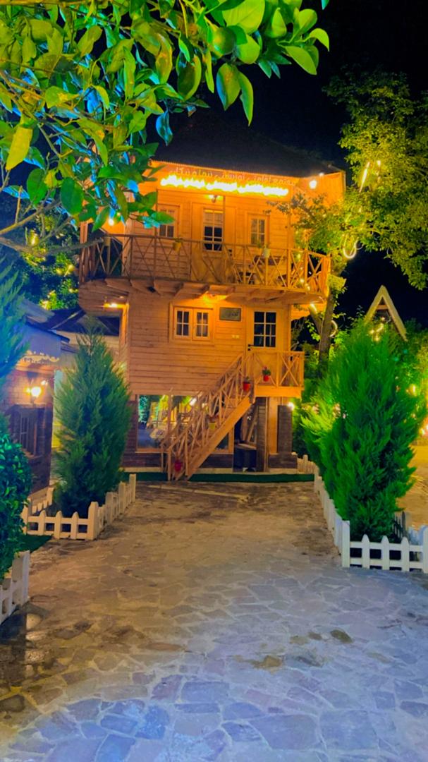 کلبه درختی تریبلکس کلاه فرنگی