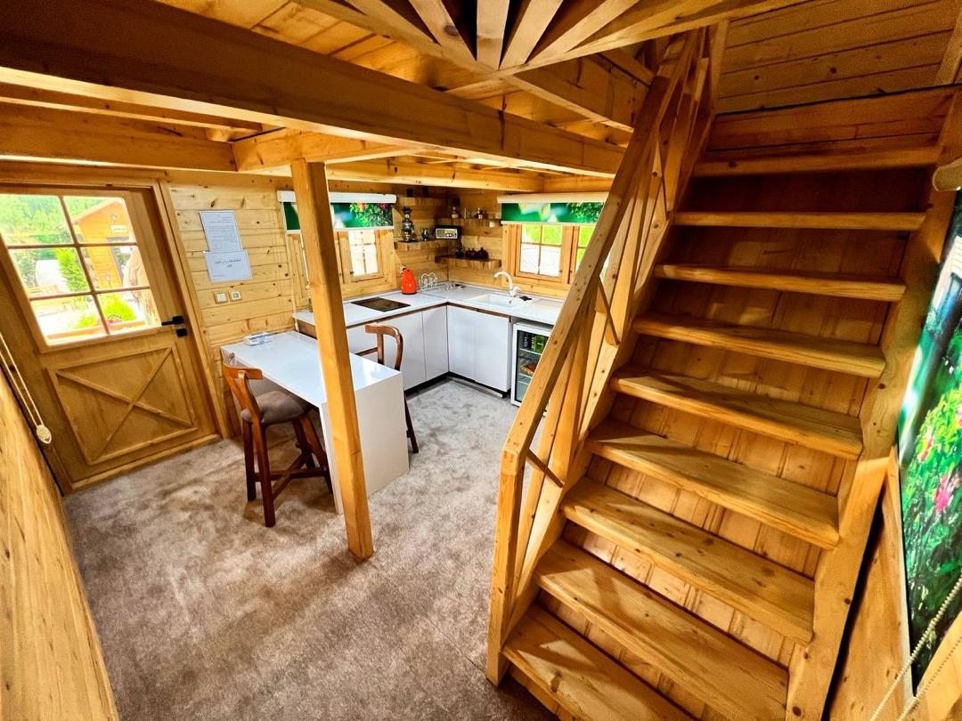 کلبه درختی تریبلکس کلاه فرنگی کلبه درختی تریبلکس کلاه فرنگی