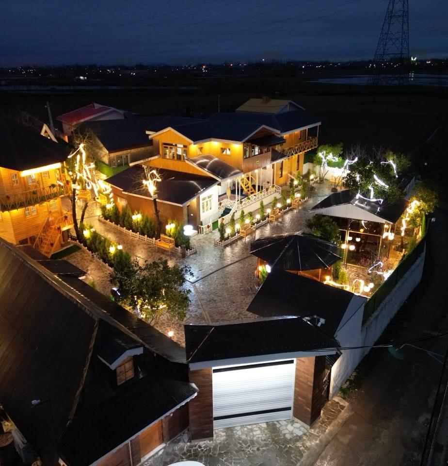 گالری تصاویر